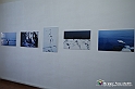 VBS_3931 - Paratissima 2021 - 17.ma Edizione